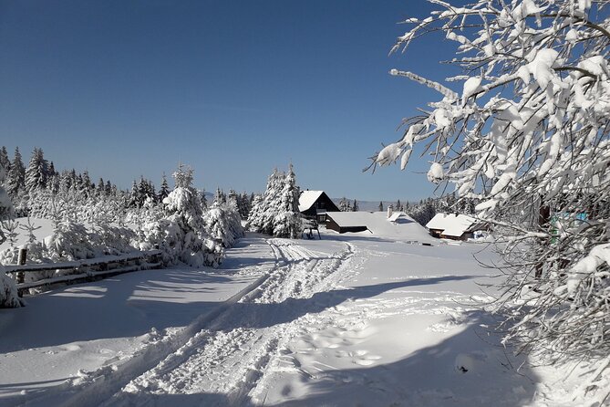 1-day Private Snowshoe Hike in the Gorce Mountains near Krakow - Key points to know before booking