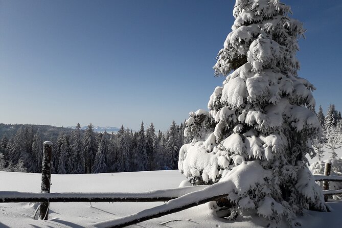 1-day Private Snowshoe Hike in the Gorce Mountains near Krakow - Learning the snowshoe basics before the climb