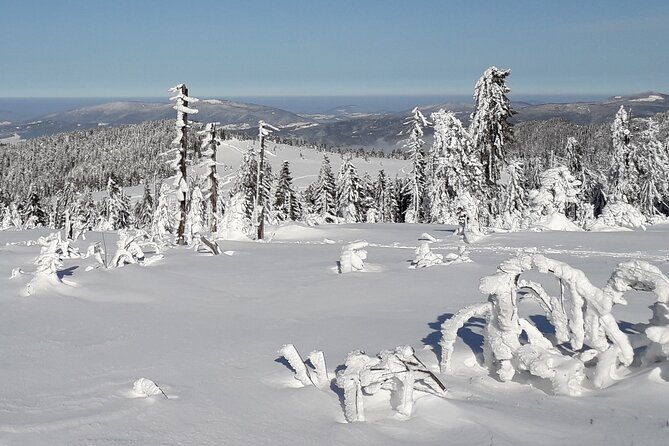 1-day Private Snowshoe Hike in the Gorce Mountains near Krakow - Choosing your route in the Gorce Mountains