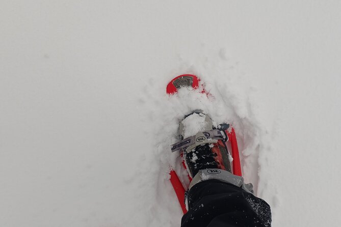 1-day Private Snowshoe Hike in the Gorce Mountains near Krakow - Reaching a mountain shelter for lunch and rest