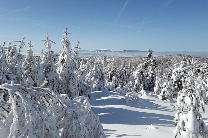 1-day Private Snowshoe Hike in the Gorce Mountains near Krakow - Returning to the parking area and Krakow
