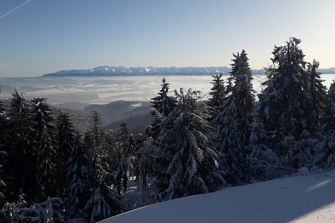 1-day Private Snowshoe Hike in the Gorce Mountains near Krakow - What the $190 price really covers