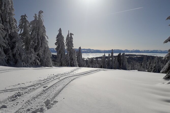1-day Private Snowshoe Hike in the Gorce Mountains near Krakow - The winter equipment you must bring