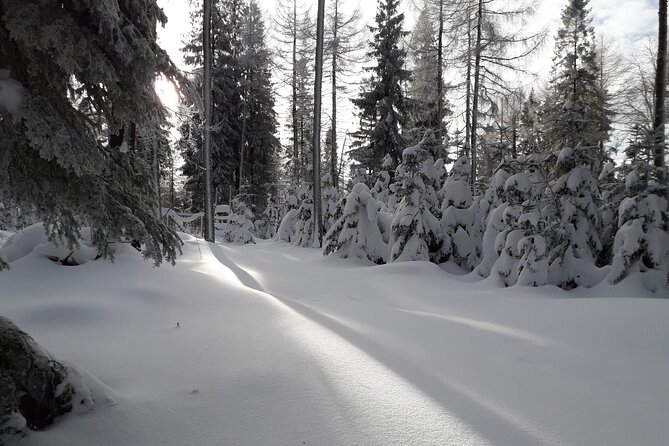 1-day Private Snowshoe Hike in the Gorce Mountains near Krakow - Leaving Krakow early for the Gorce trailhead