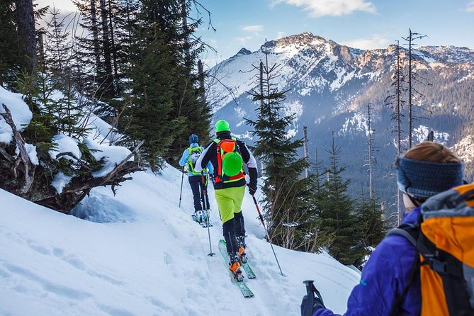 4 hours skitour trip in Tatra Mountains for beginners with renting equipment - Who this half-day ski tour suits best