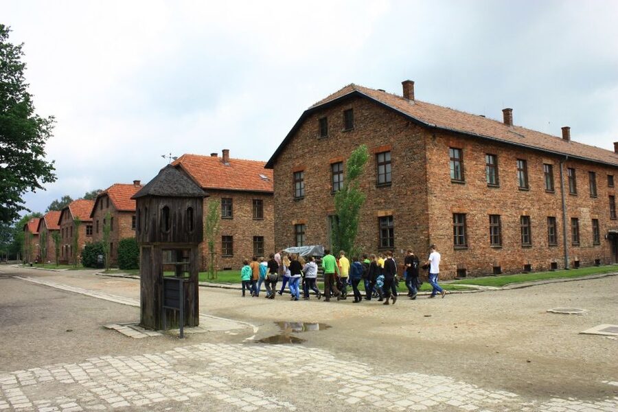 Auschwitz-Birkenau and Krakow Private Car Trip from Katowice - What the private car service adds