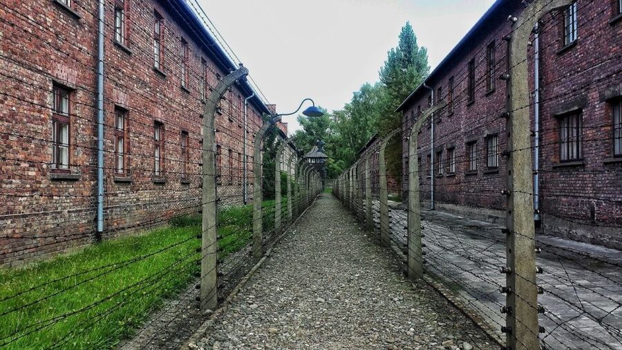 Auschwitz-Birkenau and Krakow Private Car Trip from Katowice - Accessibility and practical limits