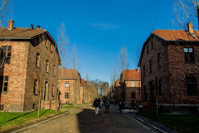 Auschwitz Birkenau and Salt Mine Full Day Guided Tour from Krakow hotel pick up - Key points to know before booking