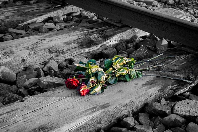Auschwitz Birkenau and Salt Mine Full Day Guided Tour from Krakow hotel pick up - Who will get the most from this tour?