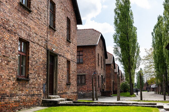 Auschwitz-Birkenau: Day Trip & Transfer from Kraków - Birkenau first: scale, silence, and weather