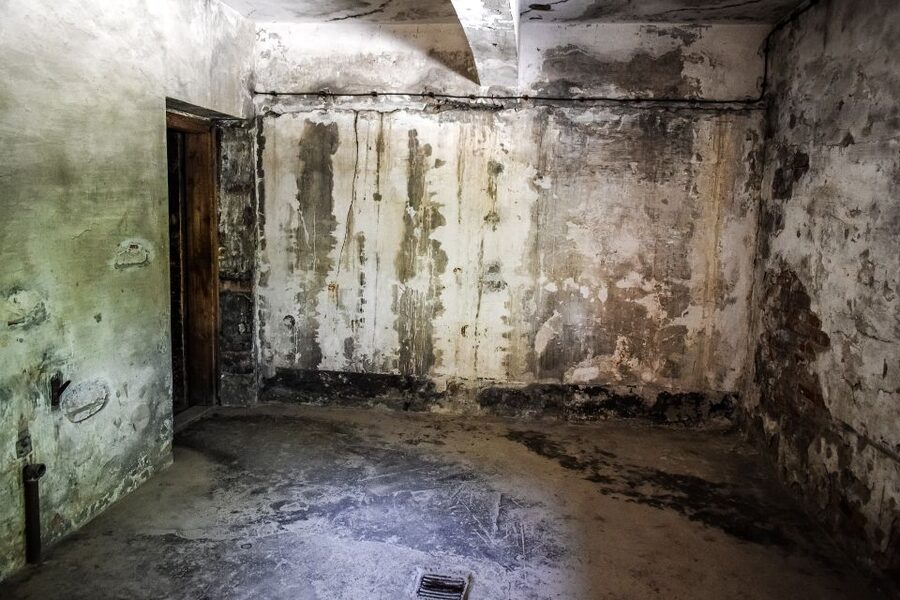 Auschwitz-Birkenau: Entrance Ticket and Live Tour Guide - Key points to know before booking
