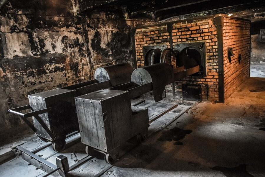 Auschwitz-Birkenau: Entrance Ticket and Live Tour Guide - Why a guide matters at Auschwitz