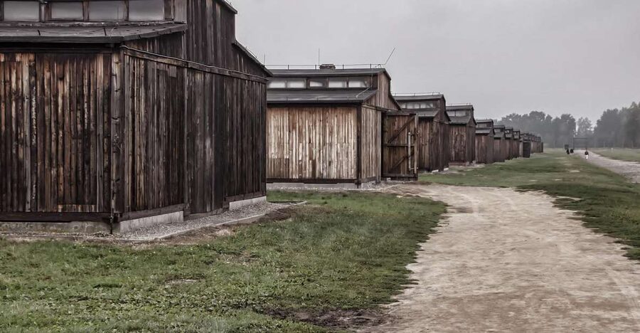 Auschwitz-Birkenau: Entrance Ticket and Live Tour Guide - What you see inside Auschwitz I
