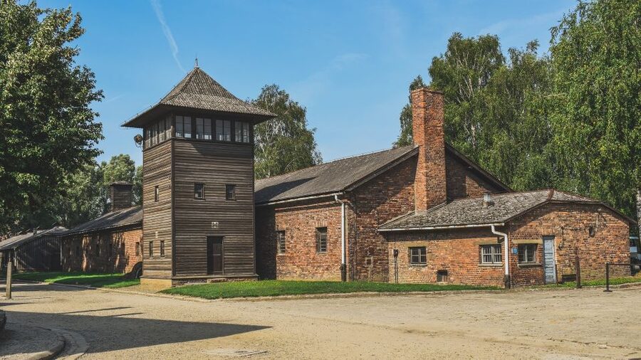 Auschwitz-Birkenau: Entrance Ticket and Live Tour Guide - Who should choose this tour?