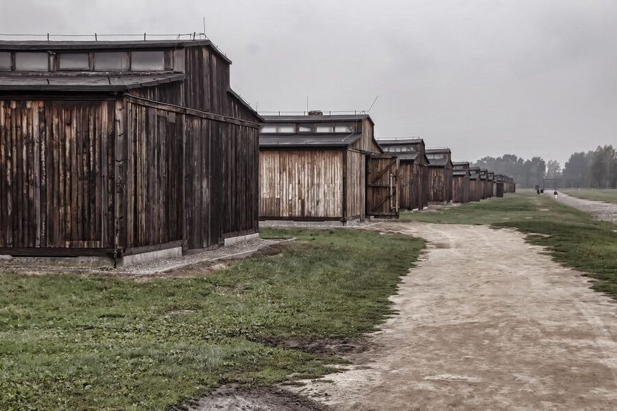 Auschwitz-Birkenau: Entrance Ticket and Live Tour Guide - Starting at Auschwitz I in Oświęcim