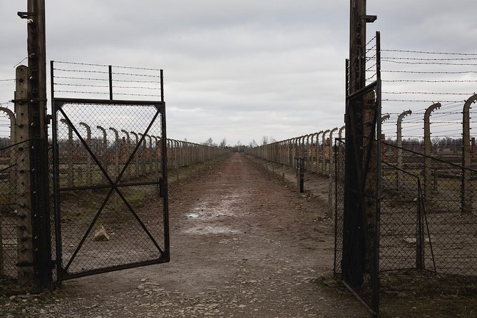 Auschwitz Birkenau Guided Tour - Walking, clothing, and what to carry