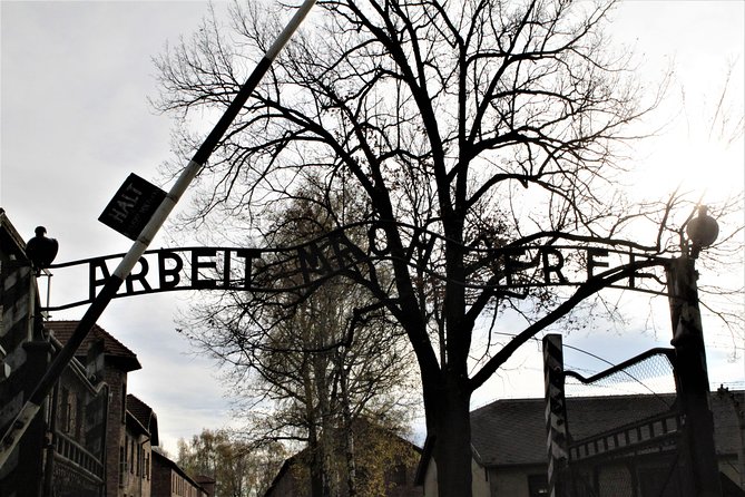 Auschwitz-Birkenau Guided Tour by Private Transport from Krakow - Birkenau, one hour to grasp the scale