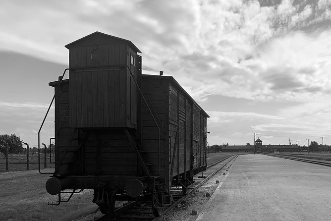 Auschwitz-Birkenau guided tour from Krakow - private car - The English guide is the heart of the visit