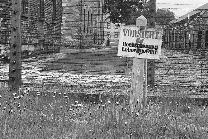 Auschwitz-Birkenau guided tour from Krakow - private car - Timing, food, and what to check the night before