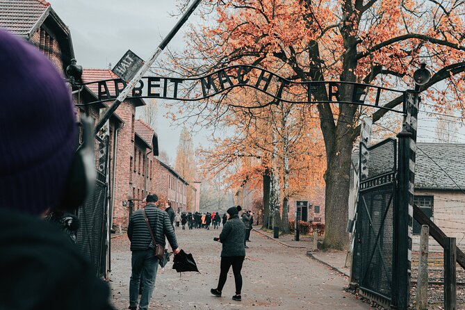 Auschwitz Birkenau guided tour from Krakow private chauffeur - Auschwitz: two hours inside the main camp