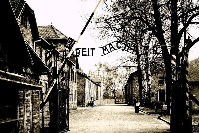 Auschwitz-Birkenau guided tour & skip the line Tickets & Transfer - What the guide adds to the visit
