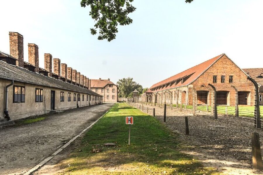 Auschwitz-Birkenau Guided Tour & Transfer from Krakow - Why this day trip matters
