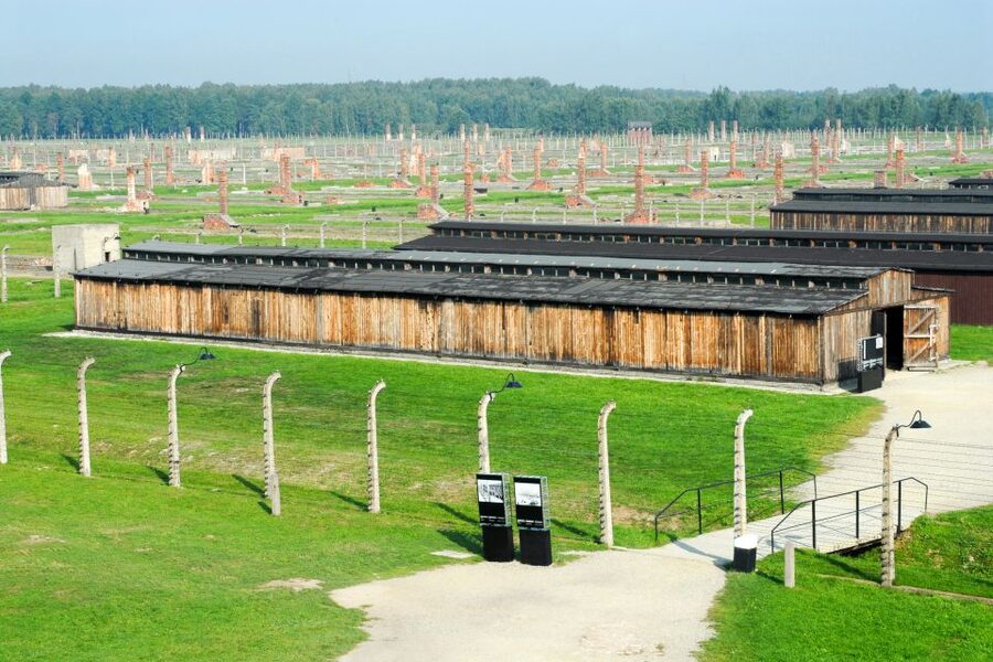 Auschwitz-Birkenau Guided Tour & Transfer from Krakow - Who should book this tour?