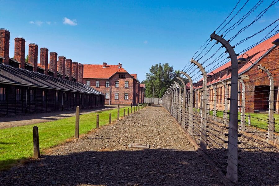 Auschwitz-Birkenau: Guided Tour with Fast Track Ticket - Choosing transport from Krakow or driving yourself