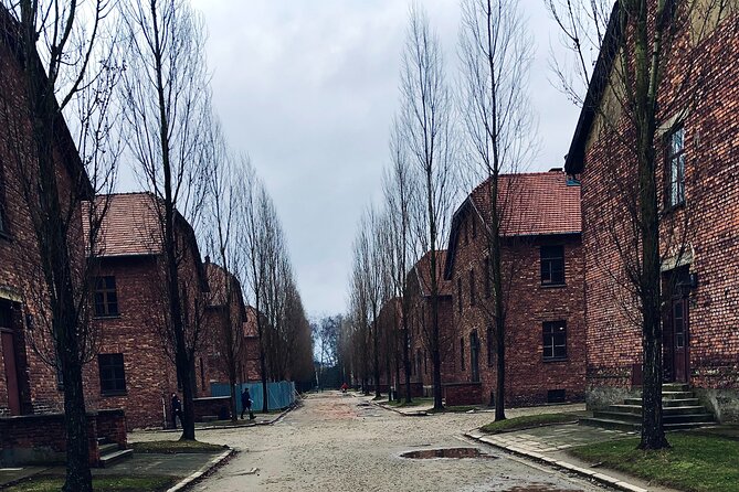 Auschwitz-Birkenau Guided Tour with Private Transport from Krakow - Why this visit matters