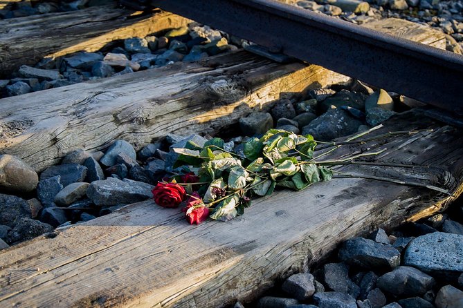 Auschwitz Birkenau Guided Tour with Ticket Hotel Pickup Small Van - Birkenau and the scale of the memorial