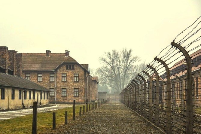 Auschwitz Birkenau Memorial and Museum group tour from Krakow - Birkenau: one hour at the larger camp