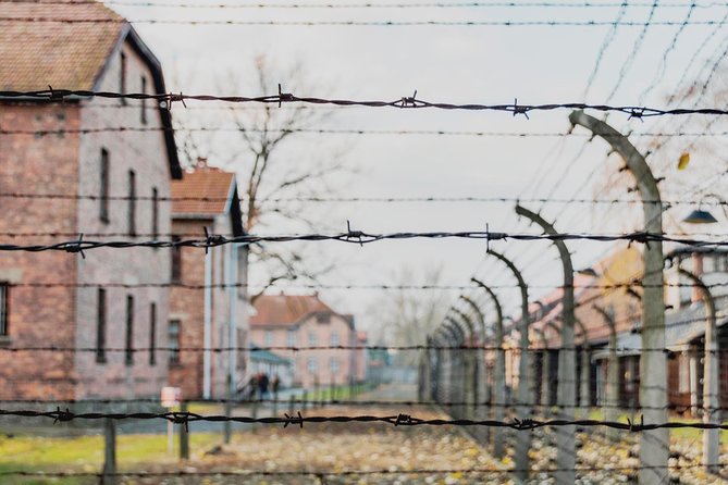 Auschwitz-Birkenau Memorial and Museum Guided Tour from Krakow - Waiting, entry, and the group format