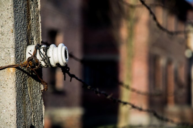 Auschwitz-Birkenau Memorial and Museum with Private Transfers from Krakow - Who should choose this experience?