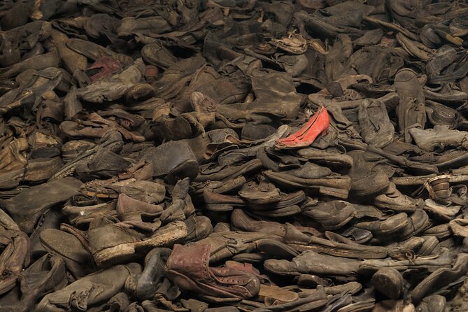 Auschwitz-Birkenau Memorial Entrance Ticket and Guided Tour - Is $36 good value?