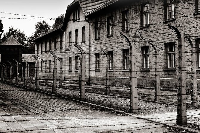 Auschwitz-Birkenau Memorial Entrance Ticket and Guided Tour - Who should choose this tour?