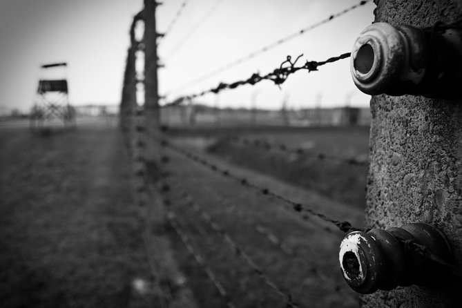 Auschwitz-Birkenau Memorial Entrance Ticket and Guided Tour - From Krakow to the camp complex