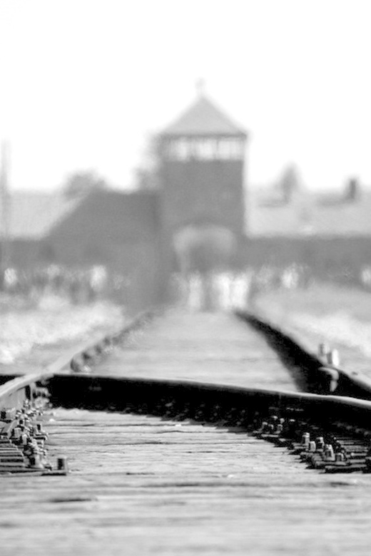 Auschwitz-Birkenau: Memorial Entry Ticket and Guided Tour - Key points to know before you go