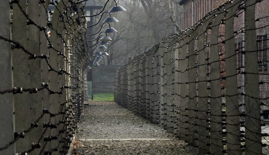 Auschwitz-Birkenau: Memorial Entry Ticket and Guided Tour - How much value do you get for $55?