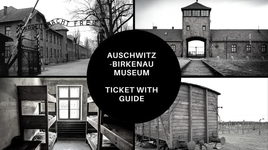 Auschwitz-Birkenau: Memorial Entry Ticket and Guided Tour - Who should book this guided visit?