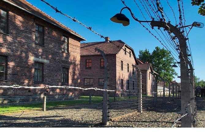 Auschwitz-Birkenau Museum and Memorial Guided Tour from Krakow - Who should book this Auschwitz tour?