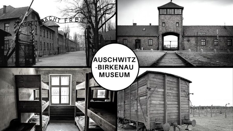 Auschwitz-Birkenau: Museum Entry Ticket with Guided Tour - Why this visit matters