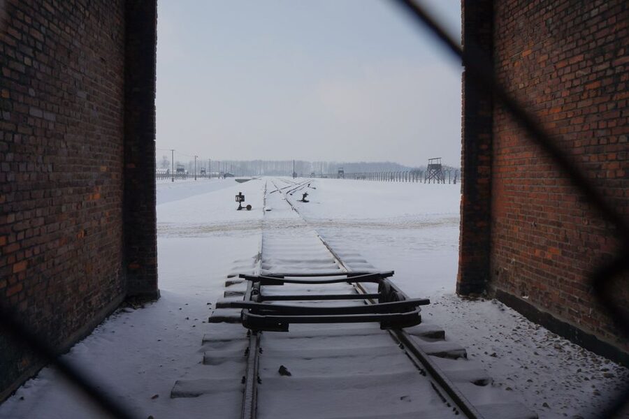 Auschwitz-Birkenau: Museum Entry Ticket with Guided Tour - What the English group format is really like