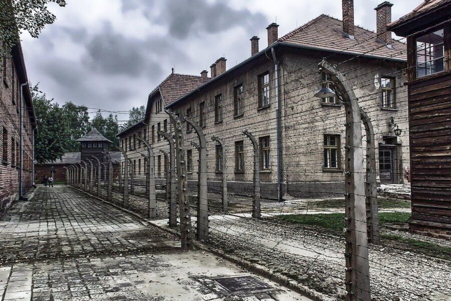Auschwitz-Birkenau: Museum Entry Ticket with Guided Tour - Who should choose this tour?