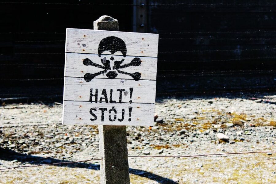 Auschwitz-Birkenau Museum Tour from Krakow - Who should book this Auschwitz tour?