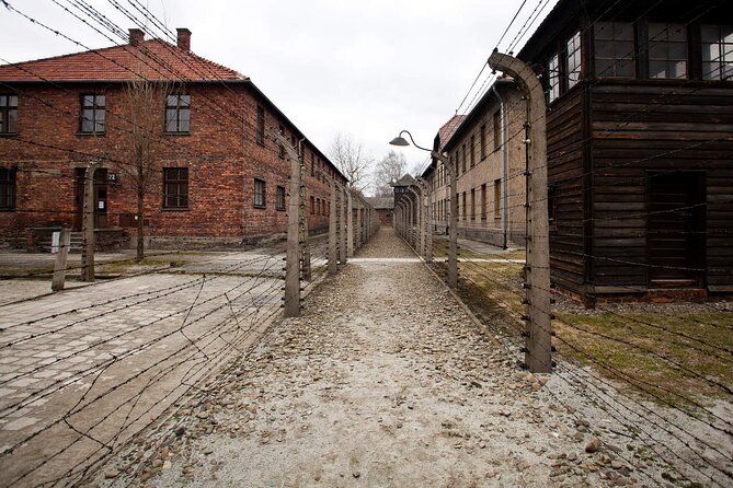 Auschwitz-Birkenau & Salt Mine Day tour - Birkenau adds scale and silence