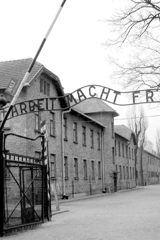 Auschwitz-Birkenau & Salt Mine Tour in One Day from Krakow - Clothing, bags, and other rules that matter