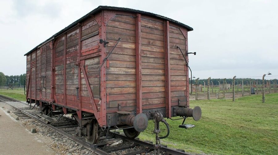 Auschwitz-Birkenau & Salt Mine Tour in One Day from Krakow - Who will get the most from this tour?