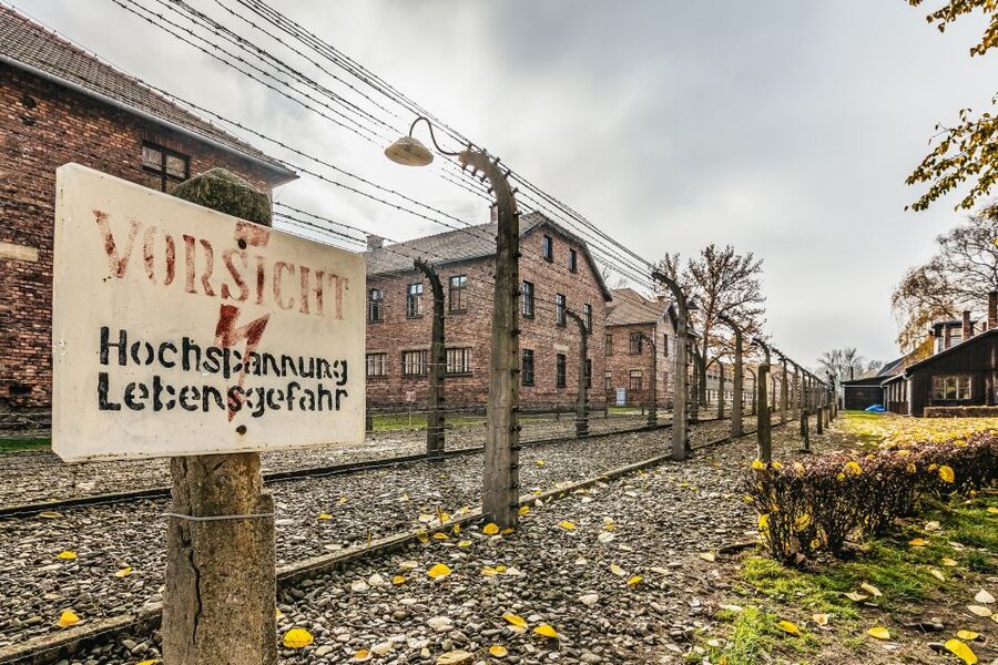 Auschwitz-Birkenau: Skip-the-Line Entry Ticket & Guided Tour - Key points before you book