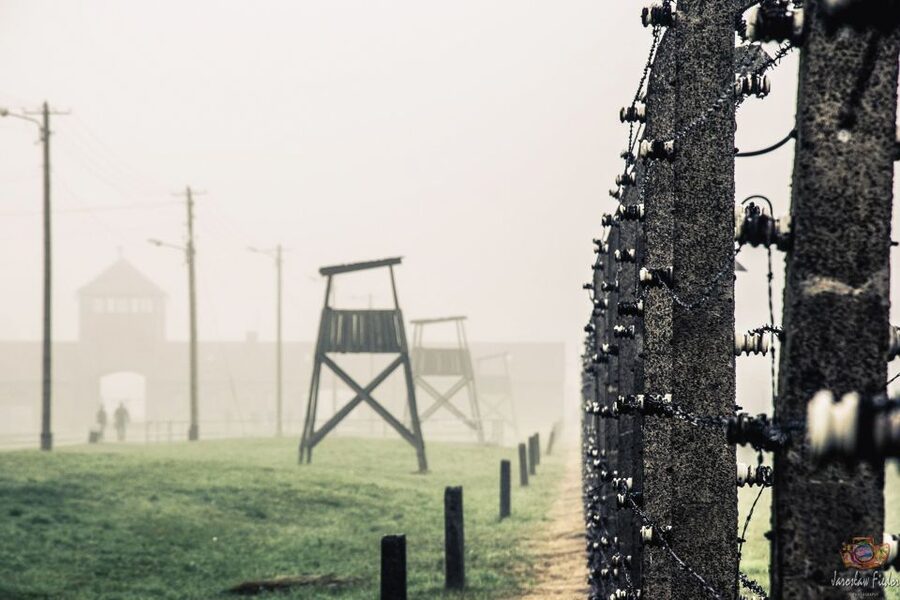 Auschwitz-Birkenau: Skip-the-Line Entry Ticket & Guided Tour - Birkenau: scale, distance, and open space