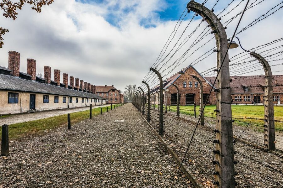 Auschwitz-Birkenau: Skip-the-Line Entry Ticket & Guided Tour - The guide makes the difference